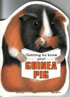 Getting To Know Your Guinea Pig Childrens Pet By Gill Page