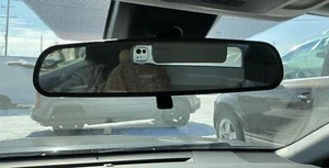 Rear View Mirror Pre-crash System Fits 18-23 CAMRY 814755 - Picture 1 of 15