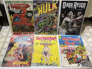MIXED COMICS - Lot of 6 - SPIDER-MAN Hulk MAD HOUSE Barbarian Killer DARK REIGN+ - Picture 1 of 8