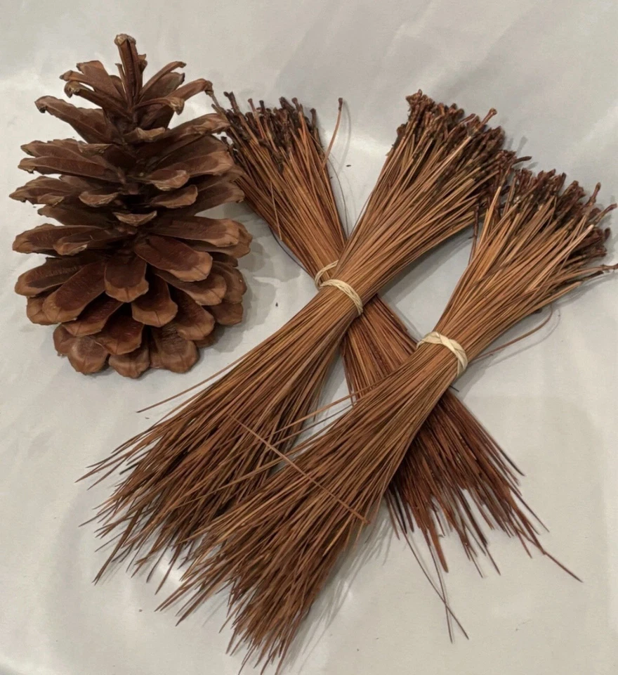 Long Leaf Pine Needles 10oz Bundle - Image 1 of 4