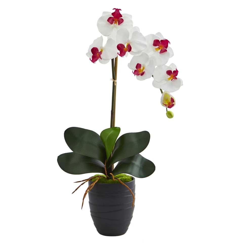 22.5" White Phalaenopsis Orchid Flowers In Black Vase Faux Floral Arrangement - Image 1 of 1