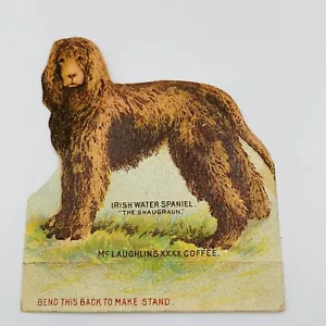 Trade Card McLaughlin Coffee Stand Up Irish Water Spaniel Advertising 1890s - Picture 1 of 12
