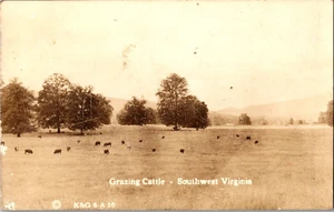 Postkarte echtes Foto Weidevieh Südwest Virginia RPPC Poststempel 1937 - Bild 1 von 2