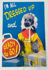 Vtg. Unposted "I'm All Dressed Up & Ready To Go" Cameo Dog W/ Suitcases Postcard - Picture 1 of 2