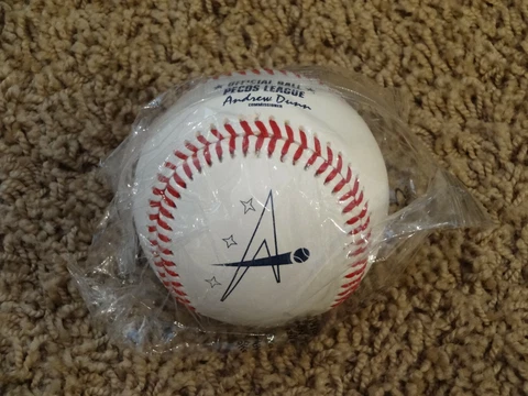 Rawlings Official Pecos League HOUSTON APOLLOS (1 NEW Minor League Baseball) Cover