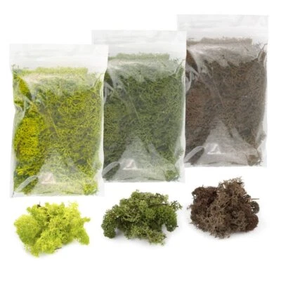 WWS Lichen Model Moss Various colours 60g | Model Railway Diorama Scenery Bushes - Image 1 of 4