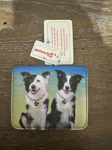 Border Collie Perro Joyería Moda Mini Billetera Colección Flor Billetera Cachorro - Imagen 1 de 12