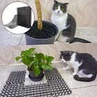 Complete Cat Preventative Kit   Deter Cats With Our Anti Cat Thorn 12 Strong