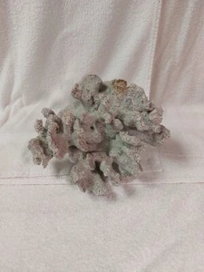 Large Vintage Natural Blue Pacific Ocean Coral Beautiful specimen! 9"x8"x6" - Picture 1 of 10