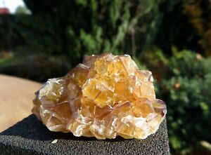 ⚒ TOP! Gelbe Fluorit Kristalle mit lila Randzone v. Namibia Okorusu Mine ⚒  🇳🇦