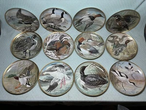 Water Birds of the World Franklin Mint Porcelain Plates 1981 Full Set 12 MINT - Picture 1 of 6
