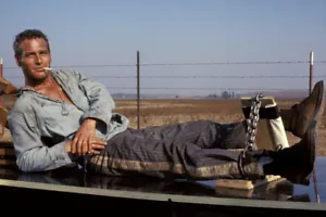 Póster Cool Hand Luke Paul Newman In Chains fumar cigarrillo 24X18 - Imagen 1 de 1