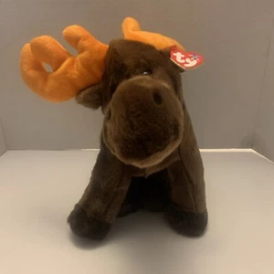 Ty Beanie Buddies Chocolate Moose 1999 LARGE - Picture 1 of 8
