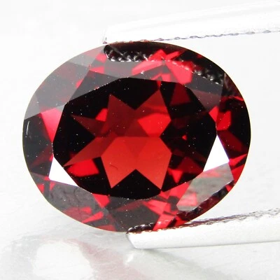5.50Cts Natural Genuine  Red Color Pyrope Garnet 12X10mm Oval Shape Loose Gem - Image 1 of 4