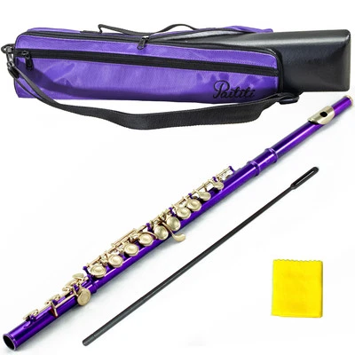 SKY Brand New Band Approved Purple/Gold C Foot Flute With Case Bag Band Approved