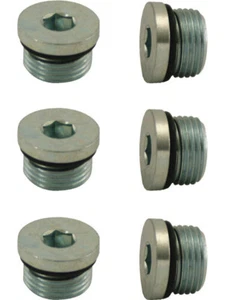Moroso Oil Pan Access Plugs (6-Pack) 3/4-16 With O-Ring, Steel (97005) - Picture 1 of 12
