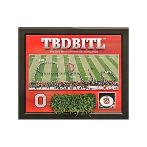 Ohio State New TBDBITL Framed 19"x22" Collage Piece Authentic Ohio Stadium Turf - Picture 1 of 2
