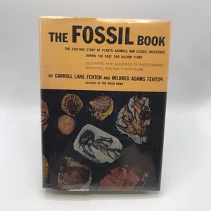 Das Fossilienbuch Aufzeichnung prähistorischen Lebens Carroll Lane und Mildred Adams Fenton - Bild 1 von 17