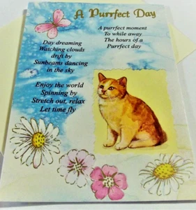 A Purrfect Day...Day Dreaming.....Birthday Greetings Card - Picture 1 of 3