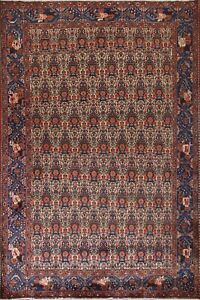 Living Room Area Rug 7x10 ft.Vegetable Dye Abadeh Oriental Handmade Wool Carpet