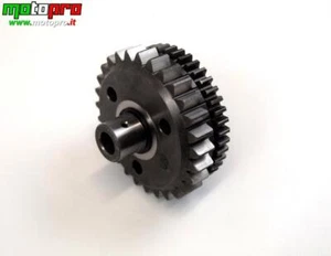 SPMV8000C4242 GRUPPO ALBERO AVVIAMENTO RUOTA LIBERA MV AGUSTA BRUTALE F3 RIVALE - Foto 1 di 1