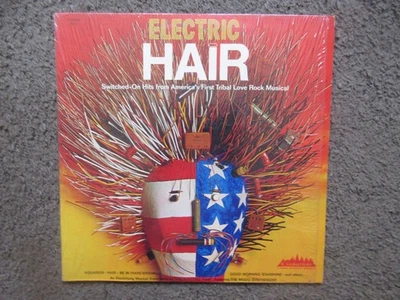 THE ELECTRIC HAIR "ELECTRIC HAIR" 1970  EVOLUTION EX/NM IN SHRINK STEREO MOOG LP Foto 1 de 4