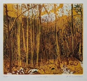 Helga Wirth Wald Waldstreifen Natur Abstrakt signiert Farbradierung 2000 29/30 - Bild 1 von 2