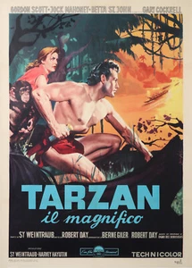 ANONYM - TARZAN IL MAGNIFICO - 1960 - Picture 1 of 1