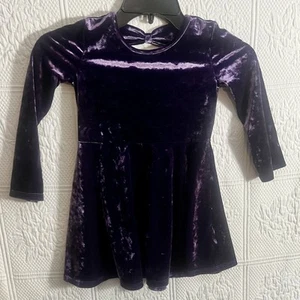 The Children’s Place Dress Purple Velvet Size 4T - Picture 1 of 4