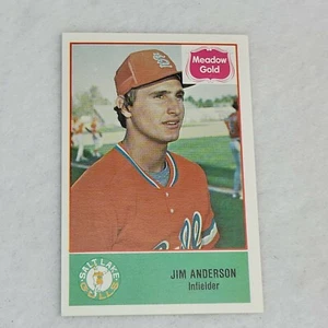 1978 Salt Lake Gulls Cramer #2 Jim Anderson - Picture 1 of 2