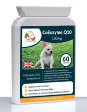 Coenzima Q10 Sênior Cachorro suplemento natural antioxidante para Cães de suporte imunológico