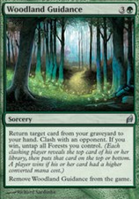 MTG magic cards 2x x2 Light Play, English Woodland Guidance Lorwyn