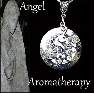 Essential Oil Necklace Silver Unicorn Diffuser Locket 18" Aromatherapy US Seller - Picture 1 of 4
