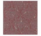 Rasch Textil Tapete Vlies Tintura 227399 Grau Violett stylisch Vintage Ornament