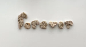 Natürliche Buchstabenform FOREVER Felsen Strand Steine Valentinstag Kiesel Kunst Handwerk Hag - Bild 1 von 12