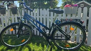 Jungendfahrrad Pegasus Bikesport Power S Ultimate 26 Zoll - Bild 1 von 6