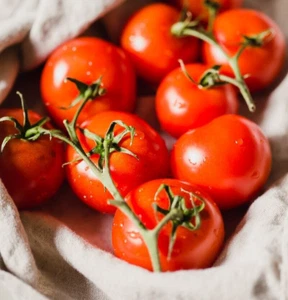 50 - Tomato Seeds – Premium Fresh Harvest of 2025 - Sweet Campari - B 18 - Picture 1 of 7