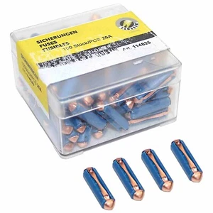 OEM Genuine AUDI BMW MERCEDES PORSCHE VOLKSWAGEN (100pcs) Flosser Fuses 25 AMP - Picture 1 of 1