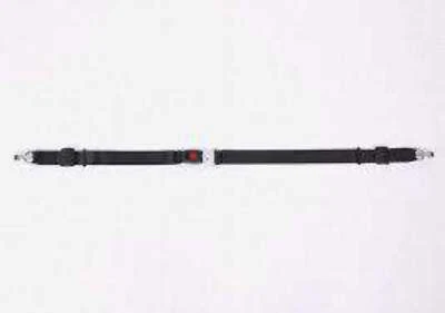 Standard Lap Belt for Series A Track Length: 98" | FE200601 - Image 1 of 2