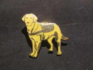 Yellow Lab Dog Representing Guide Dogs of America 2007 (120) - Foto 1 di 4