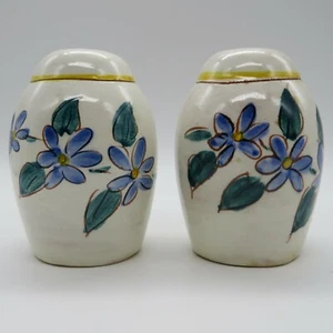 Vintage Glazed Red Clay Pottery Salt & Pepper Shakers Hand Painted Blue Flowers - Picture 1 of 6