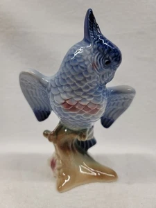 7 1/4" COCKATOO VON ROYAL COPLEY, ROYAL WINDSOR, SPAULDING - Bild 1 von 4