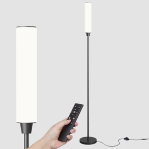 Floor Lamp with Remote Control,Bright Floor Lamps for Living Room/Bedroom/Office - Picture 1 of 12