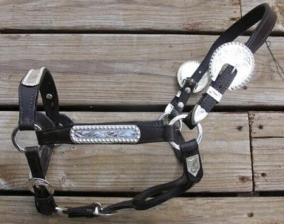 Dark Oil Congress Cut Silver WEANLING Horse Show Halter - Matching Lead Shank