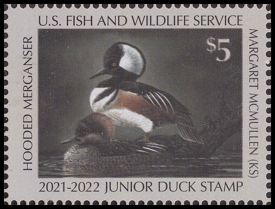 US JDS29 Junior Duck Hooded Mergansers $5 single MNH 2021-2022 - Image 1 of 1