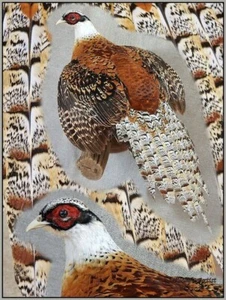 Pheasant Taxidermy Mount Bird Gamebird Feathers Exotic by Wildlife-Artist - Picture 1 of 4