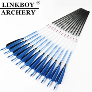 Bogenschießen SP300 340 400 500 600 Kohlenstoff Pfeile Bogen Carbon Arrows 6PCS - Picture 1 of 9
