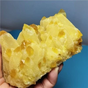 474g BONITO Amarillo AN CUARZO CRISTAL RACIMO Muestra SANACIÓN i380 - Imagen 1 de 13