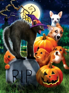 DON'T MESS WITH KITTY by TOM WOOD  SunsOut 1000 piece HALLOWEEN puzzle - NEW - Picture 1 of 1