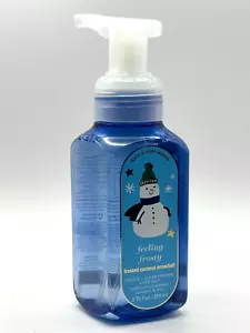 NEW 1 BATH & BODY WORKS FEELING FROSTY GENTLE FOAMING HAND SOAP 8.75 FL OZ WASH - Picture 1 of 3